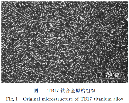 截圖20250923185508.png